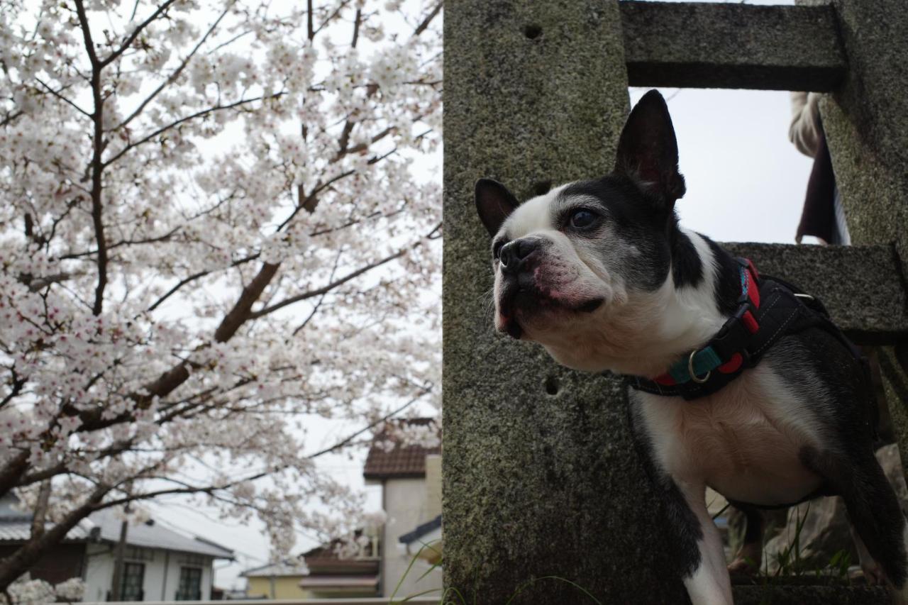 Appartamento Kyoto-Gion Tourist House Esterno foto