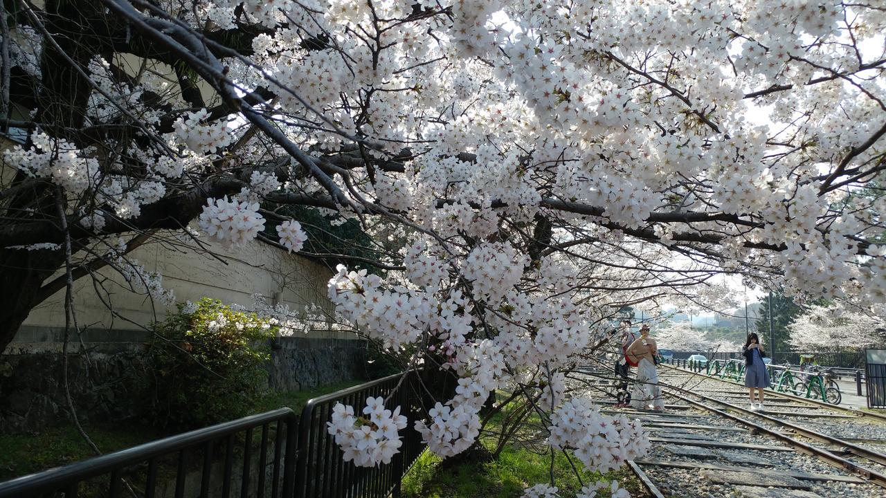 Appartamento Kyoto-Gion Tourist House Esterno foto